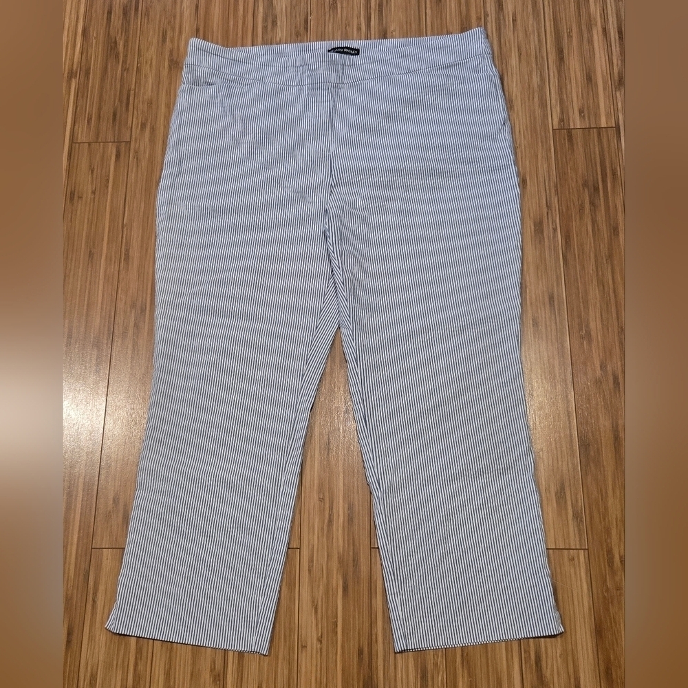 NWOT Hilary Radley Striped Pants